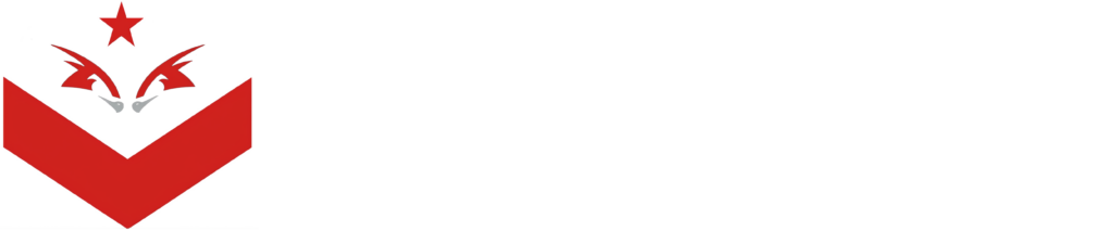 Gemmini Guarding & Tactical Security
